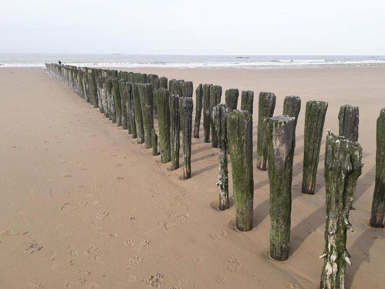 Maison Noomi Knokke-Heist Exteriér fotografie
